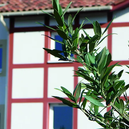 The Originals City, Les Bruyeres, Dax Nord ホテル